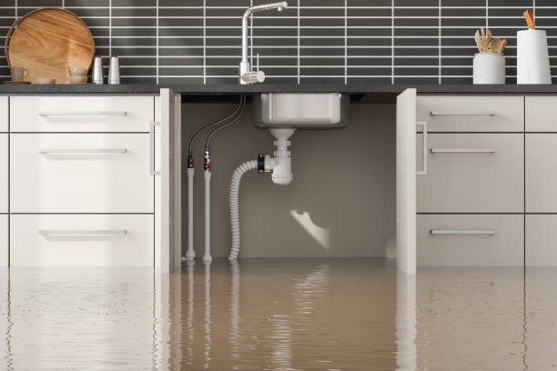 Best 24-hour water damage restoration  in Dunstan, ME